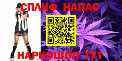 сатива Бузулук