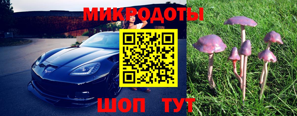 Псилоцибиновые грибы ЛСД Лесозаводск