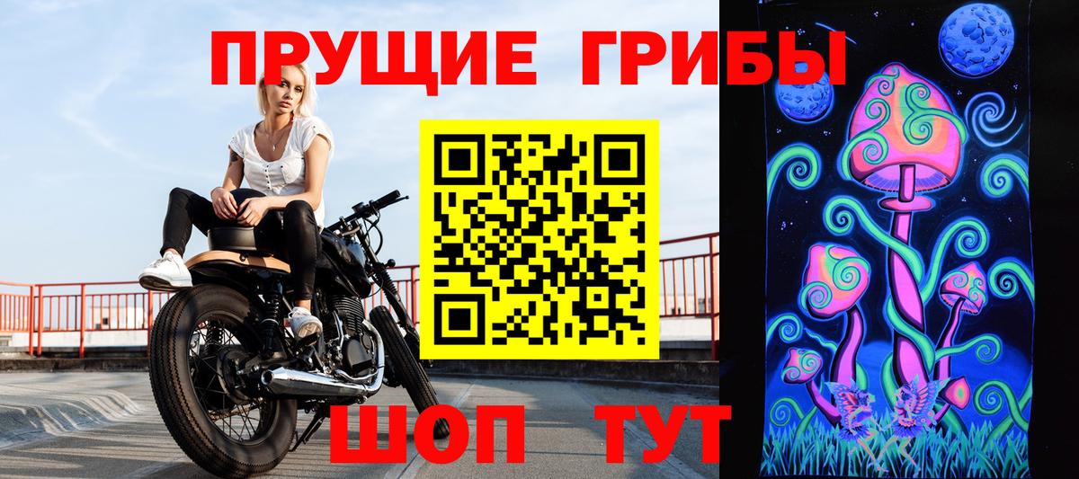 Лесозаводск  Псилоцибиновые грибы ЛСД  Вход с VPN 